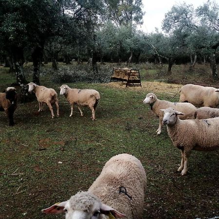El Venero De Mostoles Constantina Exteriér fotografie