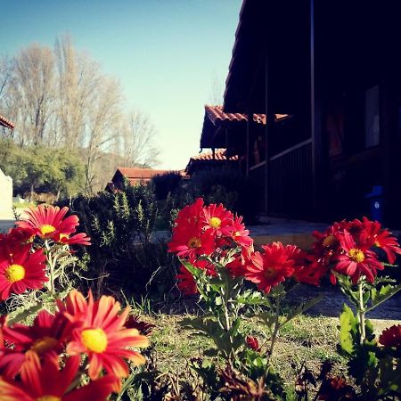 El Venero De Mostoles Constantina Exteriér fotografie