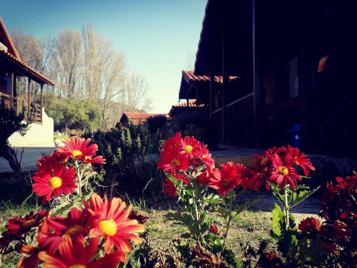 El Venero De Mostoles Constantina Exteriér fotografie